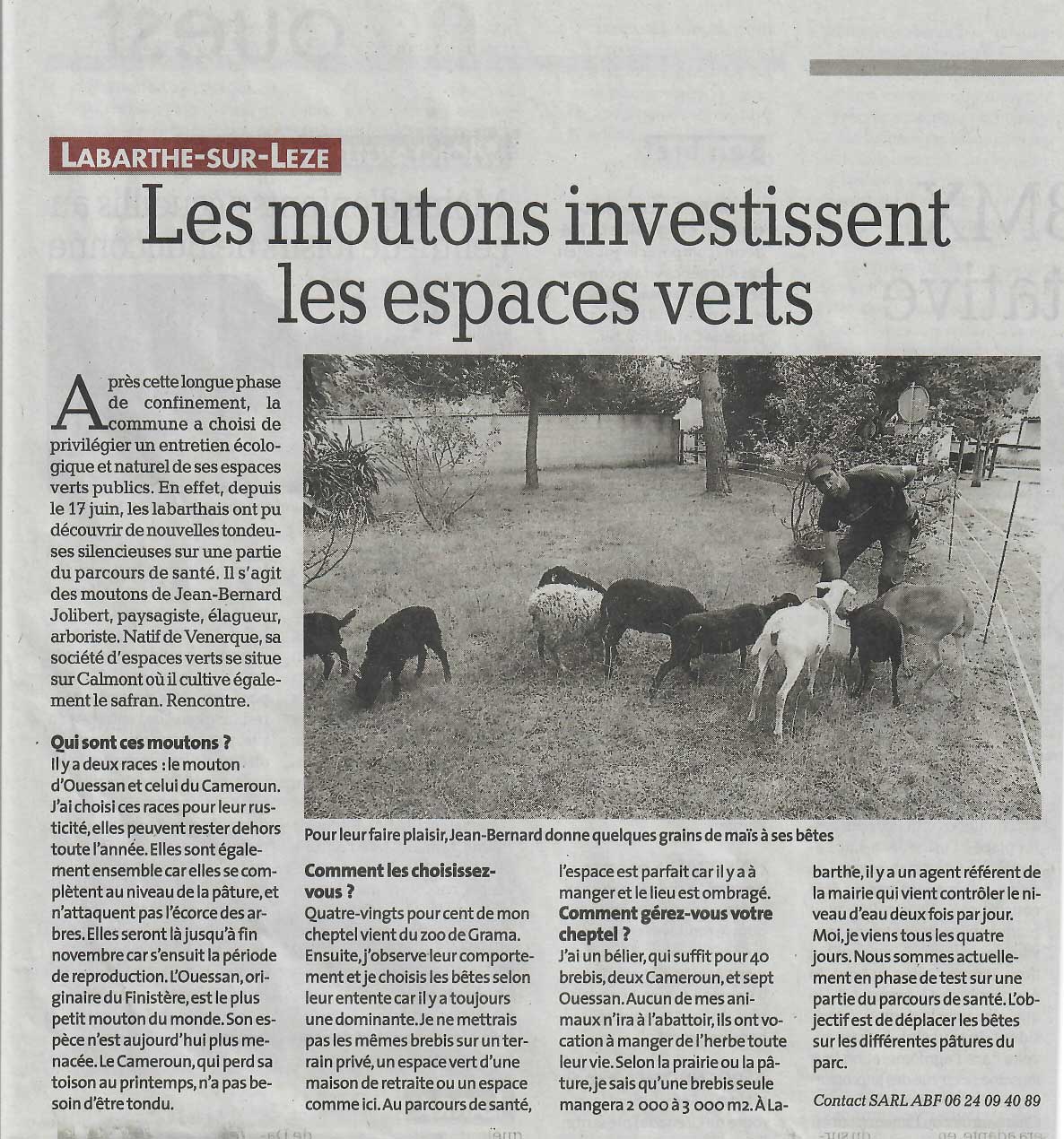 Article de presse